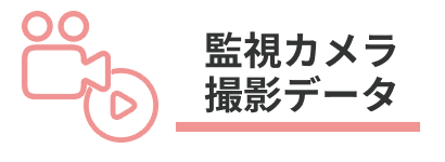 監視カメラ撮影データ
